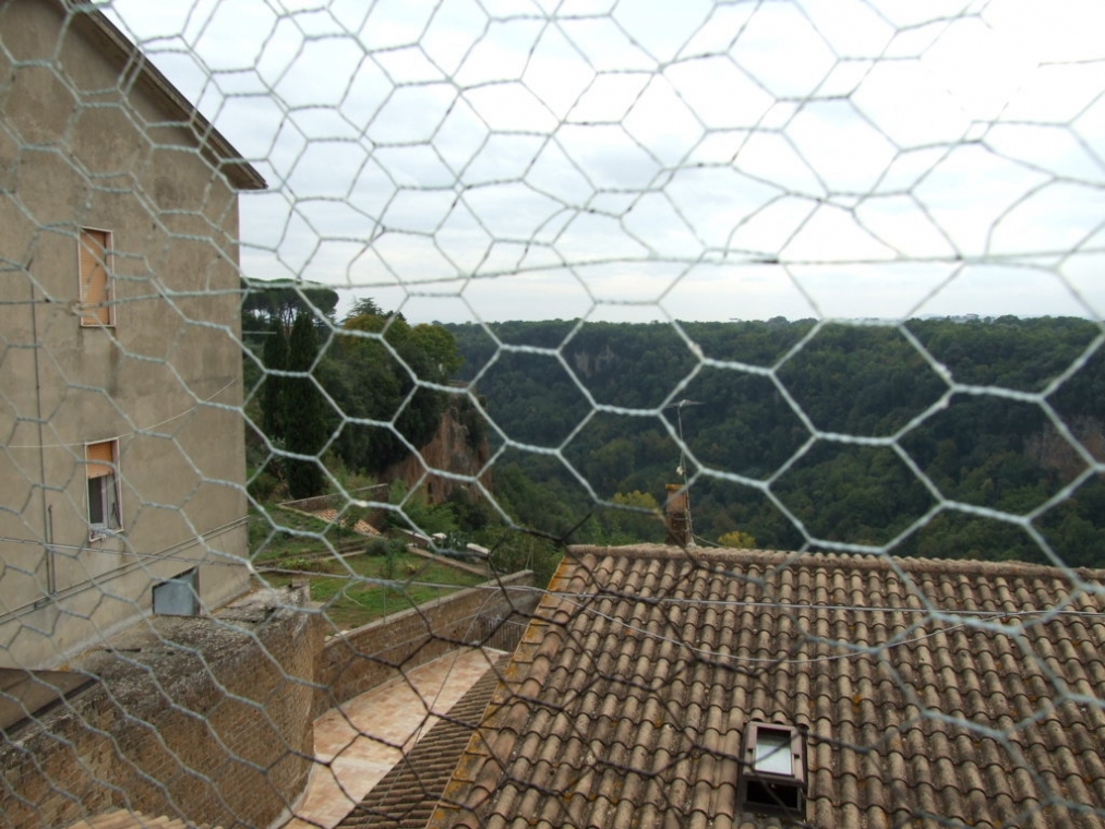 DSCF4770 (FILEminimizer).JPG